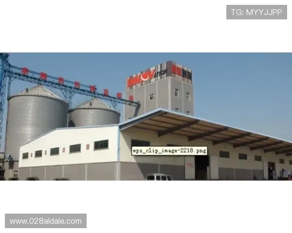 凯发国际入口实现技术创新，提供更加稳定流畅的游戏环境保障