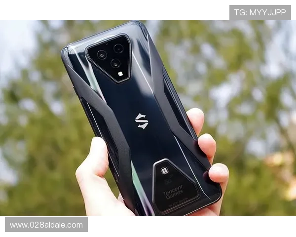 凯发电游网址官方入口，提供多种游戏选择和优质服务体验