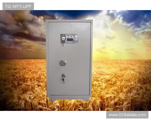 k8凯发官网首页安全登录与密码保护措施保障用户账号信息安全 k8凯发官网首页安全登录与密码保护措施保障用户账号信息安全